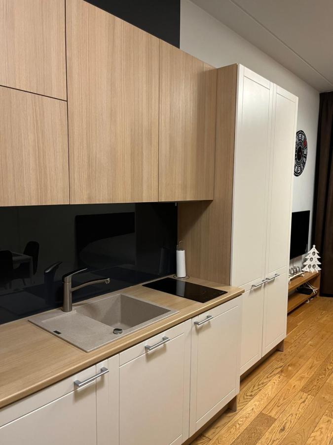 Mere Puiestee Apartment Ταλίν Εξωτερικό φωτογραφία